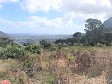 Residential Land