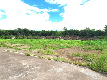Agricultural Land