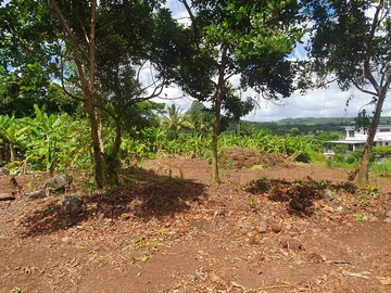 Residential Land