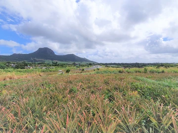 Agricultural Land