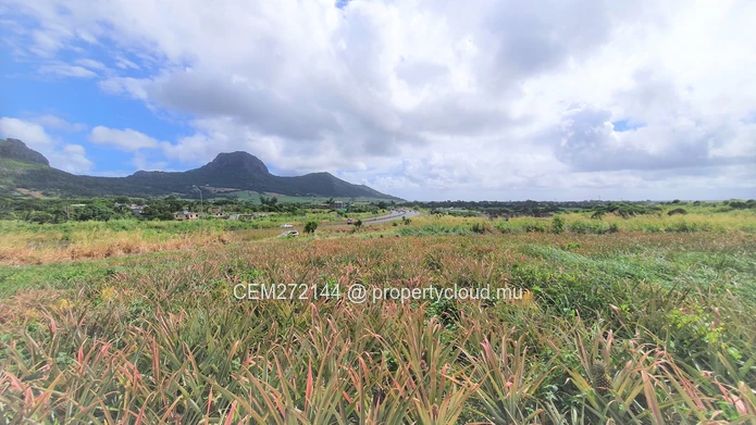 Agricultural Land for Sale – 233 Perche(s), Long Mountain, North