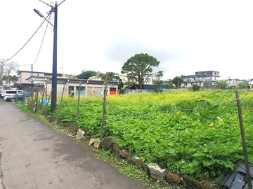 Residential Land
