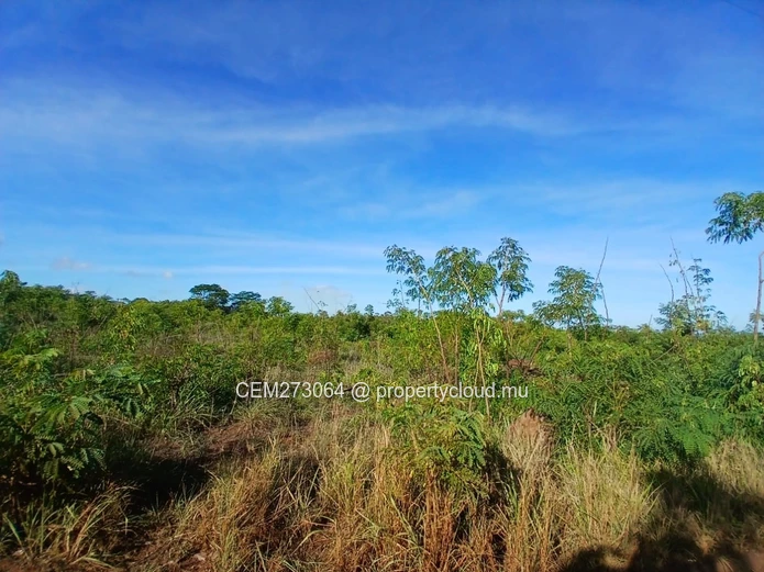 Agricultural Land for Sale – Large Plot in St Joseph, Arsenal, Terre Rouge