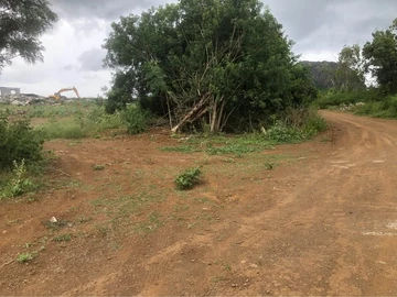 Land