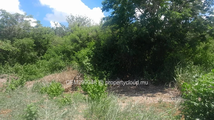 4 arpent Agricultural Land for Sale in Grand Baie