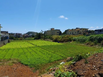 Residential Land
