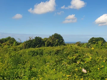 Residential Land