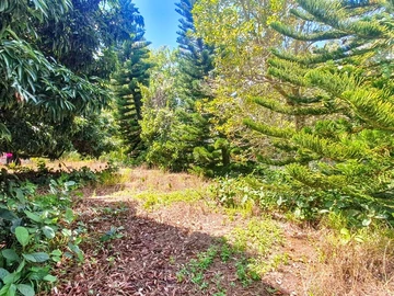 Residential Land