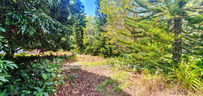 Exceptional Land For Sale in La Caverne, Vacoas