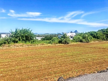 Residential Land