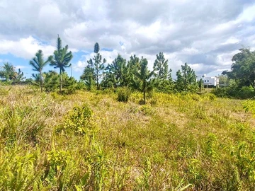 Residential Land