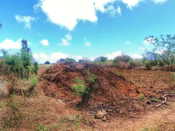 Residential Land