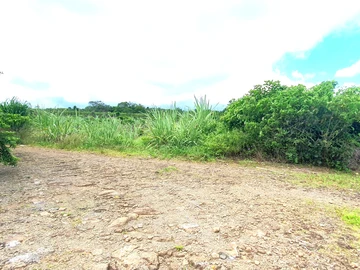 Agricultural Land