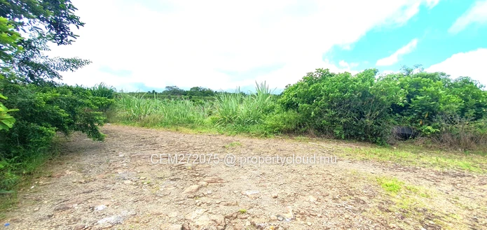Agricultural Land for Sale in Beau Climat, South – Prime Plot for Cultivation!