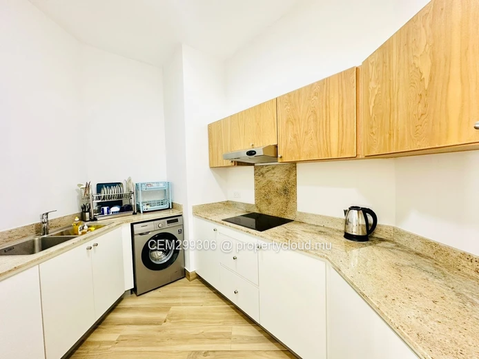 Furnished Skyline Penthouse for Rent , Rose-Hill
