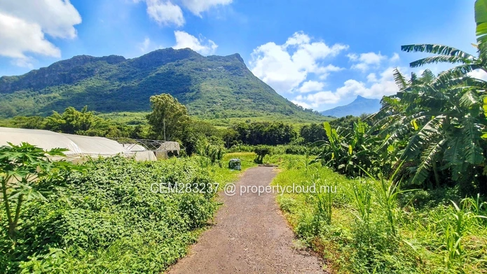 Land For Sale in Chantenay, Moka