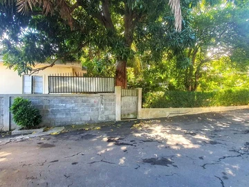 Commercial Property