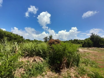 Residential Land