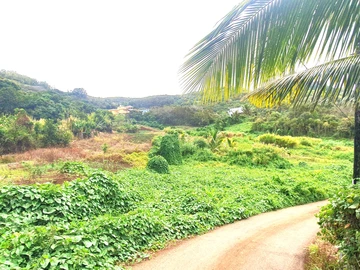 Agricultural Land