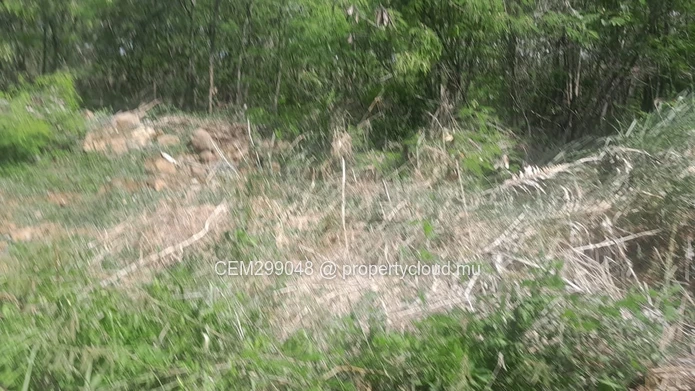 4 arpent Agricultural Land for Sale in Grand Baie