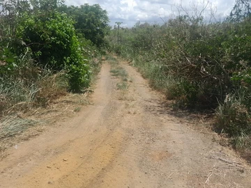 Residential Land
