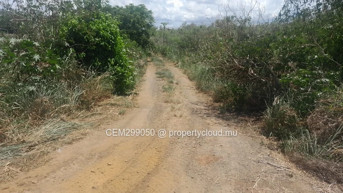 4 arpent Residential Land for Sale - Mont Mascal