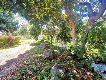 Residential Land