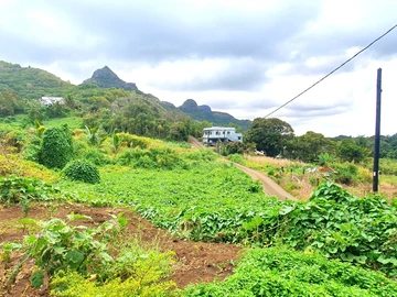 Agricultural Land
