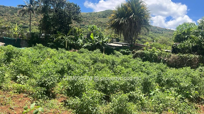 50 Perches Residential Land For Sale in Congomah, Pamplemousses