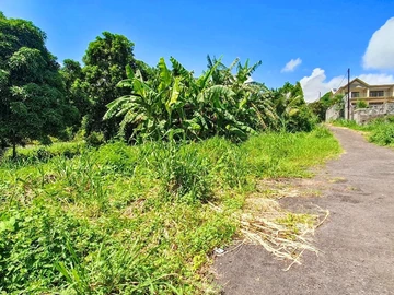 Land