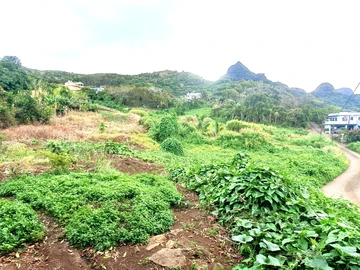 Agricultural Land