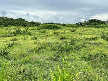 Residential Land