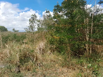 Land