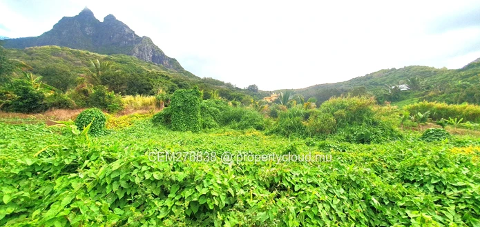 Hillside Agricultural Land for Sale – Shrimati Indira Gandhi Street, Crève Coeur