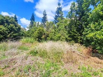 Residential Land