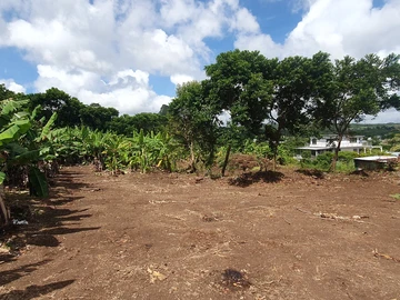 Residential Land