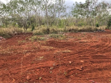 Residential Land