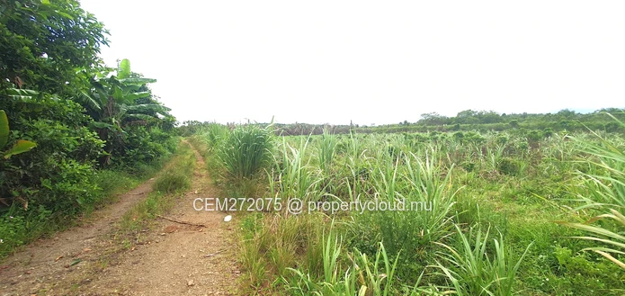Agricultural Land for Sale in Beau Climat, South – Prime Plot for Cultivation!