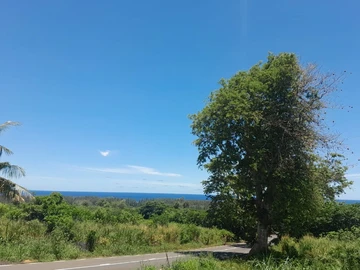 Commercial Land