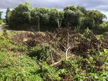 Residential Land