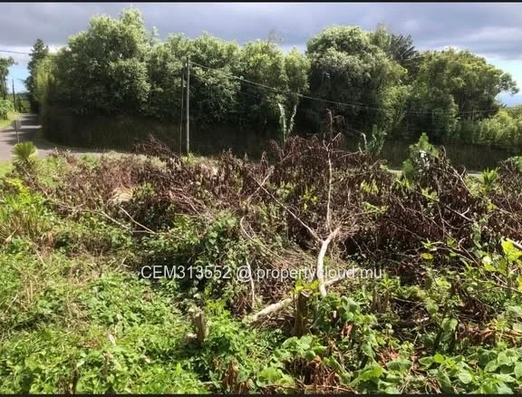 44.99 Perches Residential Land for Sale – Trou aux Cerfs Road, Curepipe 
