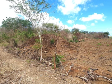 Residential Land