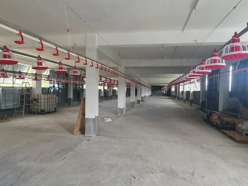 Commercial Property