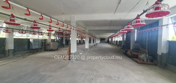 Fully Equipped Poultry Farm For Sale – La Martinière, Chamouny 