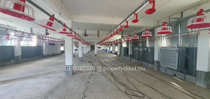 Fully Equipped Poultry Farm For Sale – La Martinière, Chamouny 
