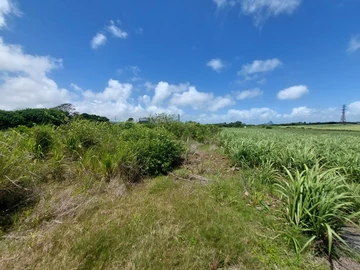 Commercial Land