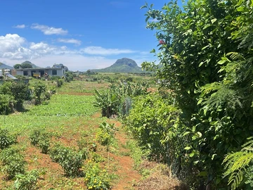 Residential Land