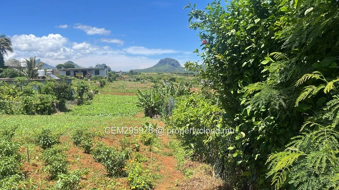 50 Perches Residential Land For Sale in Congomah, Pamplemousses