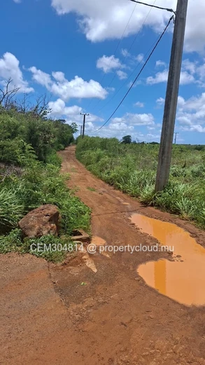 Large Residential Land for Sale – Albion 50 Arpents