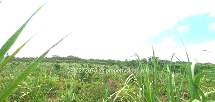 Agricultural Land for Sale in Beau Climat, South – Prime Plot for Cultivation!